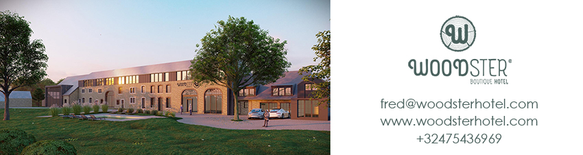 image 1 - Besoin d’un hôtel pour le Franco Fun Festival ? Voici le Woodster !